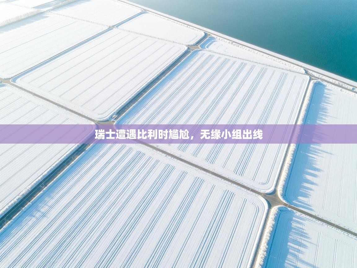 瑞士遭遇比利时尴尬,无缘小组出线 第1张