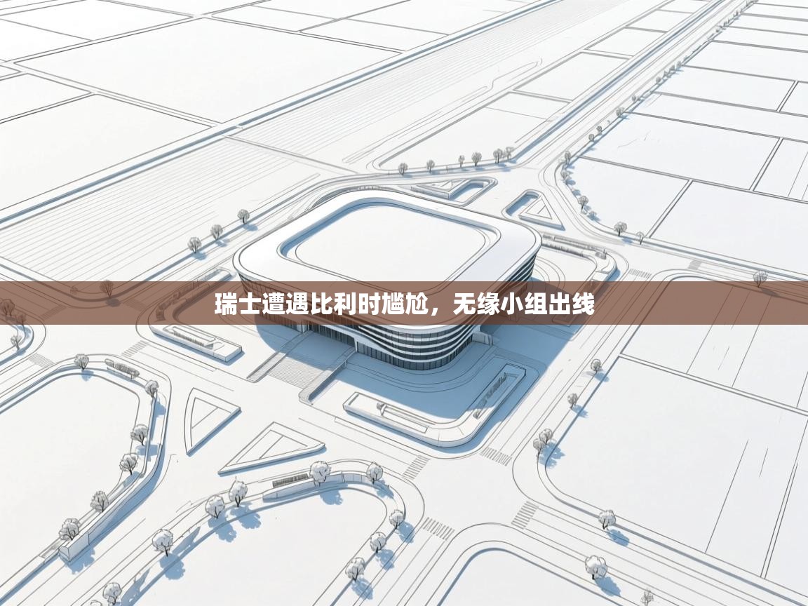 瑞士遭遇比利时尴尬,无缘小组出线 第2张