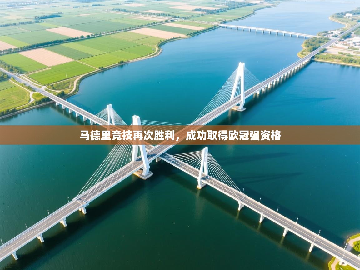 马德里竞技再次胜利，成功取得欧冠强资格  第1张